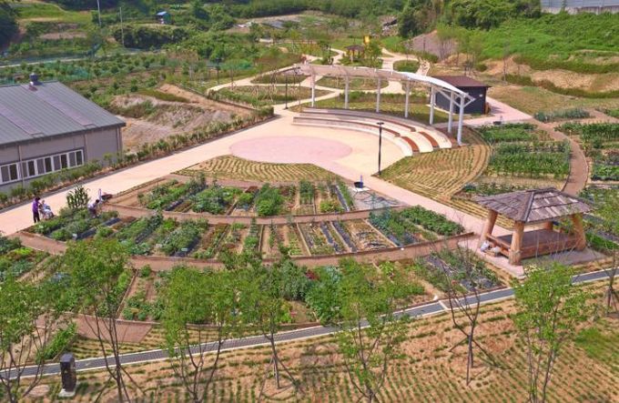 정읍시, 왕솔밭 공동체정원 텃밭 분양 시작 “도심 속 힐링 한 뼘 더”