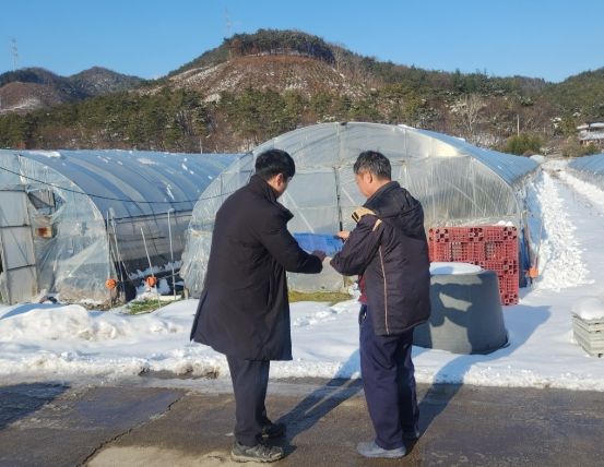 장성군, 농작물 한파 피해 최소화 팔 걷었다