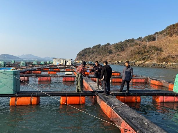 최근 지속된 강추위로 해수 온도가 크게 하강함에 따라 양식어류 피해 예방에 총력을 기울이고 있다.