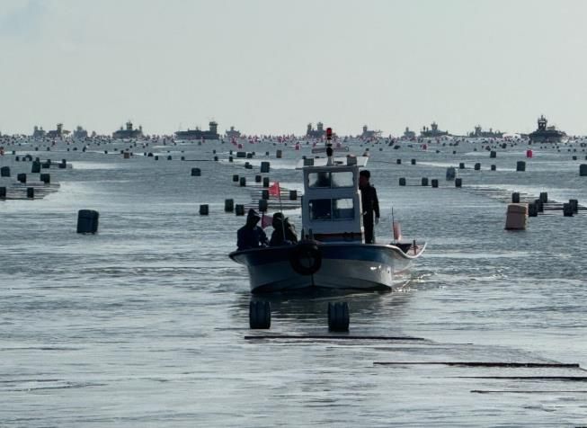 고흥군, 물김 가격 하락 대응 민관 합동 불법 김양식 시설물 행정대집행
