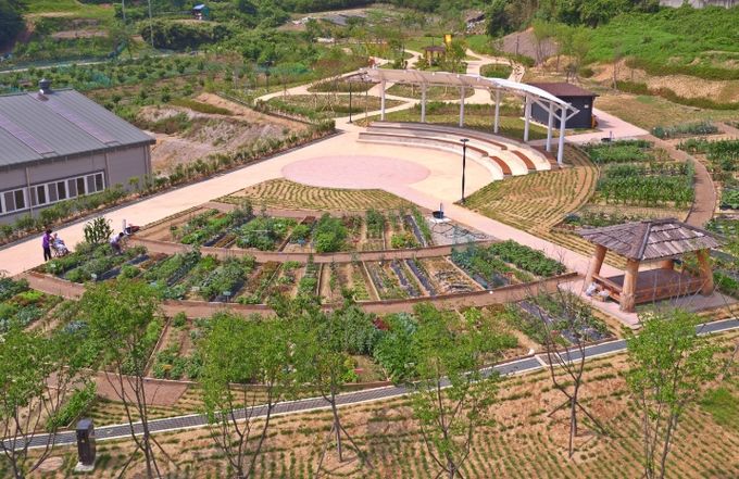 정읍시 왕솔밭 공동체 정원 텃밭 분양