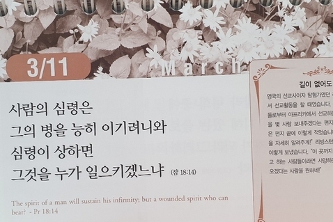 [말씀과 큐티] 창세기 49장, 뭐라도 합시다, 거북이와 게