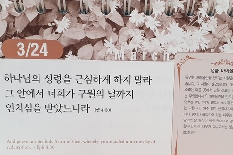 [말씀과 큐티] 출애굽기 12장, '우츄프라 카치아'라는 식물, 늦기 전에 깨달으라