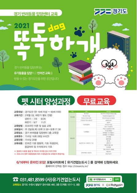 반려동물 돌보미(펫시터)의 길, 경기도 ‘똑독하개’ 프로그램에서 배워보자!