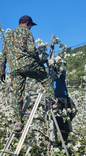 장수군에 함양군 공공형 계절근로자 파견… 농작업 활기 쑥쑥!