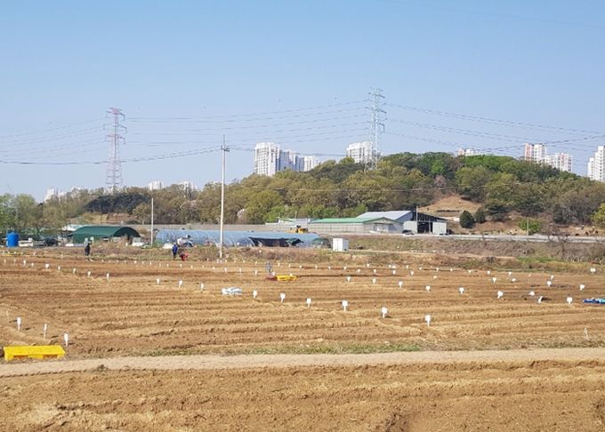 남양주시, ‘2026년 정약용 도시텃밭’분양…도심 속 치유 공간 마련