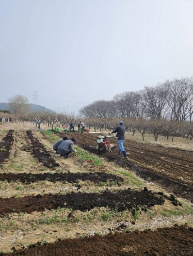 고양시 삼송2동 주민자치회, ‘이웃과 함께하는 텃밭 이야기’사업 시작