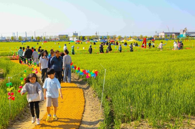 2025꽁당보리축제